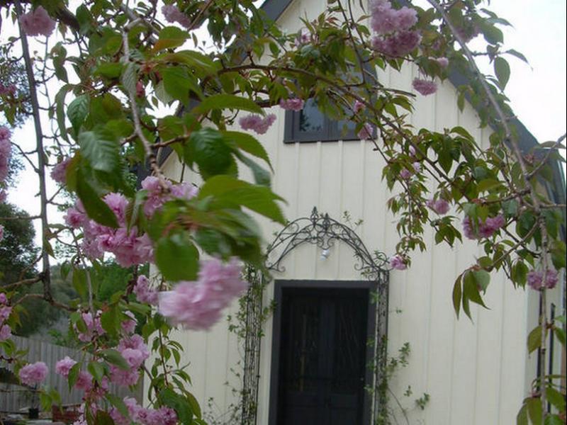 Silverleaf Cottage Rye Bagian luar foto